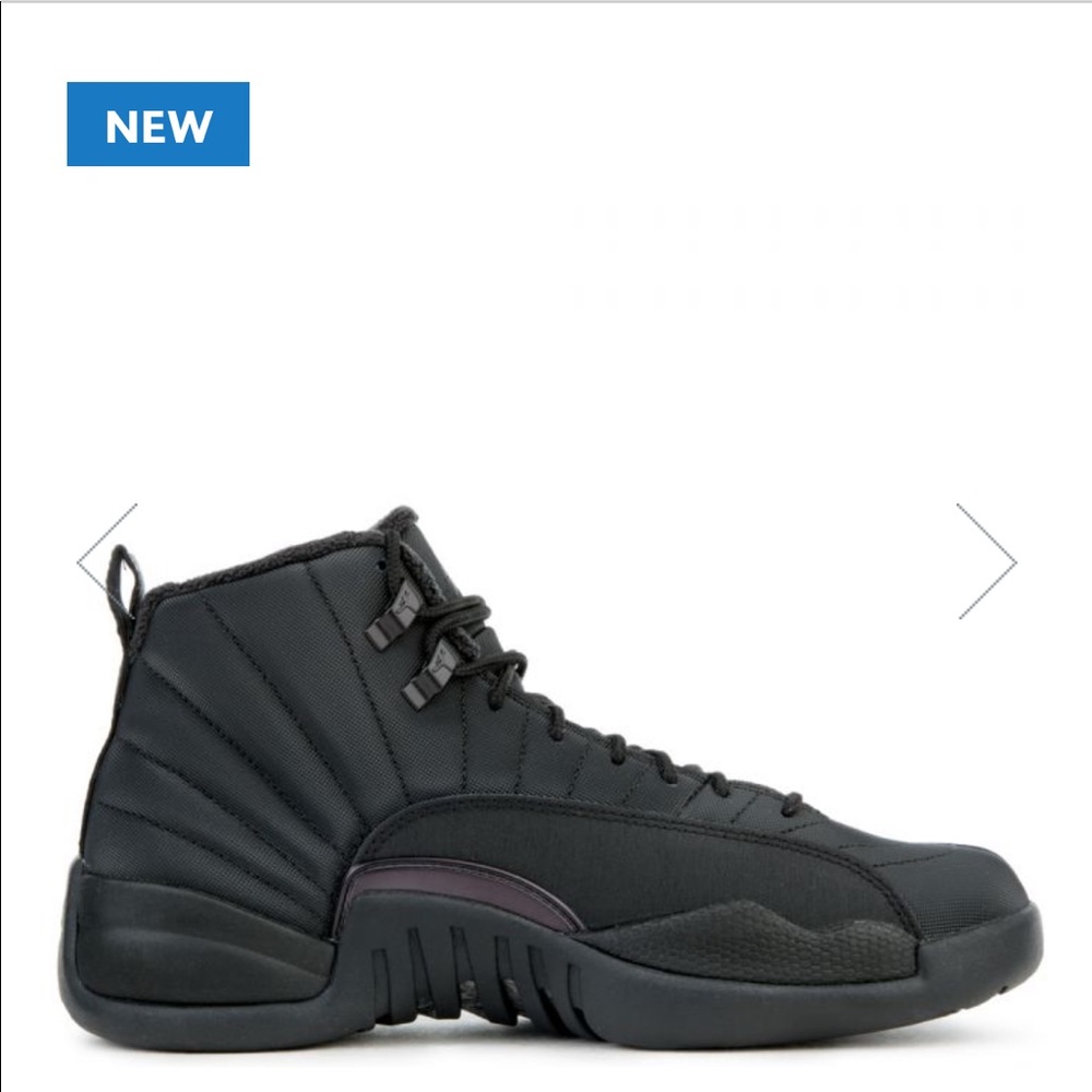 Air Jordan 12 retro